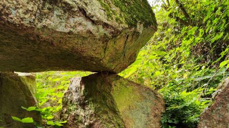 Naturführungen mit Rene Geyer
