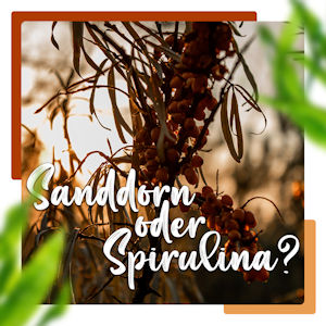 Sanddorn vs. Spirulina