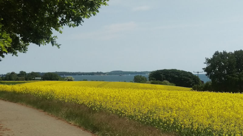 Kurabgabe in Putbus